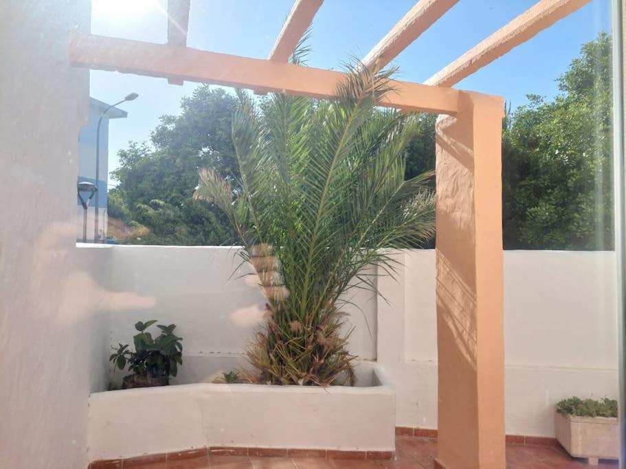 Appartamento Piscina, Wifi, Patio Con Vistas Tarifa Esterno foto