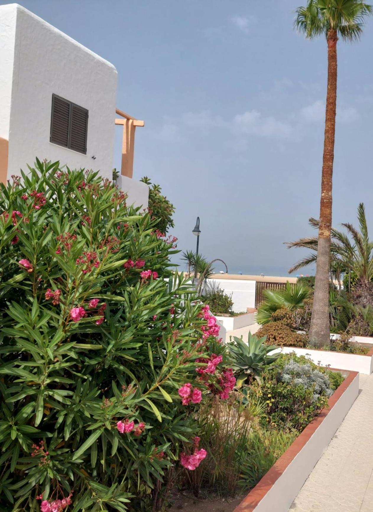 Appartamento Piscina, Wifi, Patio Con Vistas Tarifa Esterno foto